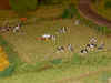 08.jpg (50897 Byte)