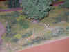 10.jpg (67027 Byte)