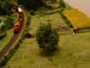 29.jpg (52438 Byte)